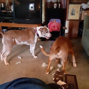 Meet your Posher, Joanne